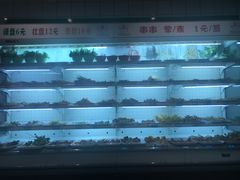 -百味源炭火烤翅 ·夜市大排档(酒仙桥店)