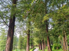 -南国桃园旅游度假区