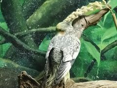 -上海海洋水族馆