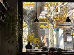 -Apollo·西班牙小酒馆(安福路店)