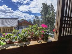 -有一锅·野生菌黑山羊腊排骨火锅(古城北门店)