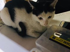 -一品格美术·中考高中成人美术培训