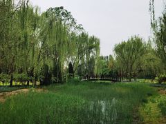 -北坞公园