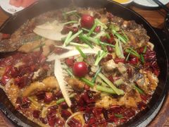 -老板恋上鱼(恒隆广场店)