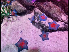 -沈阳海洋探索中心