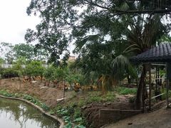 -龙回山庄