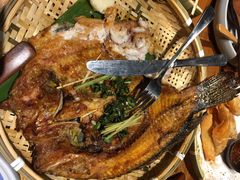 云海肴·云南菜-云海肴·汽锅鸡·云南菜(天津国金汇店)