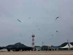 -海驴岛(荣成市)