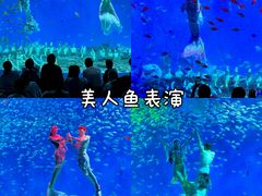 -合肥海洋世界