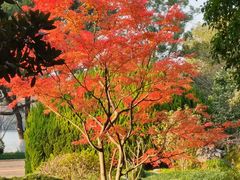 -浙江西子宾馆·瑶园咖啡厅