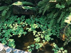 -海南文笔峰盘古文化旅游区