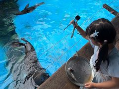 -海合安成都极地海洋公园