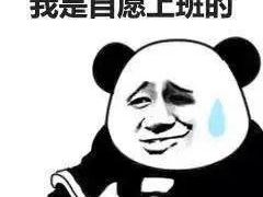 -浦江镇市民健身中心·菲快体育