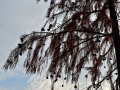 -苏州吴中太湖旅游区