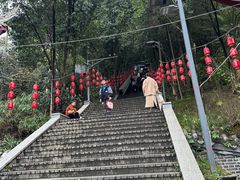 -老君山