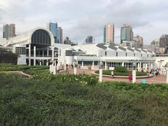 -九龙公园