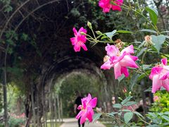 -人民公园(罗湖区)