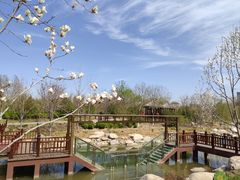 -莲花池公园