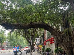 -北园酒家(小北路店)