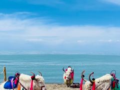 -青海湖国家重点风景名胜区