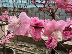 -红螺寺