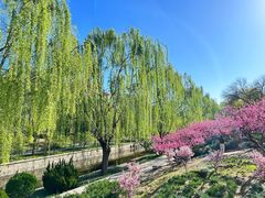 -元大都城垣遗址公园