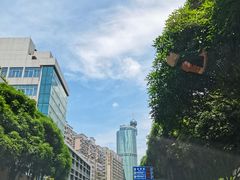 -岭南站NOVA