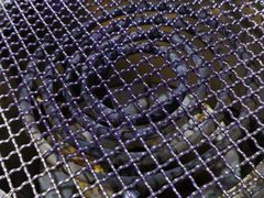 -十三姨正合丰烤肉(营迹路店)