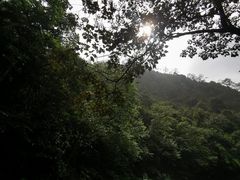-广州市石门国家森林公园