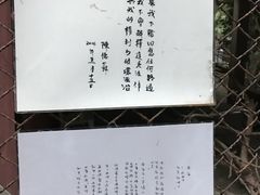 -南丫岛