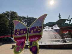 -松山湖梦幻百花洲