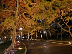 -钓鱼台国宾馆