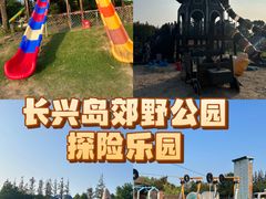 -上海长兴岛郊野公园