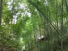 -崀山风景名胜区