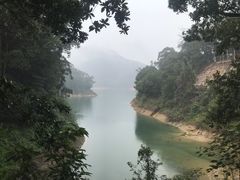 -广州市流溪河国家森林公园