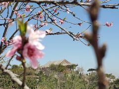 -香山公园