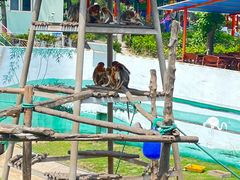 -西霞口神雕山野生动物世界