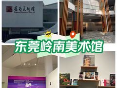 -岭南美术馆