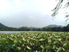 -苏堤停车场
