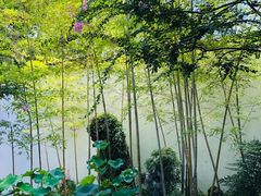 -上海醉白池公园
