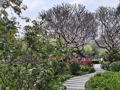 -晓港公园