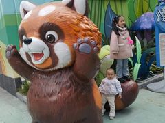 -海合安成都极地海洋公园