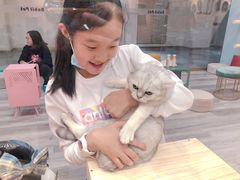 -BABIT巴比特宠物(MOMOPARK店)