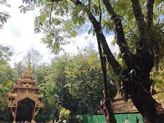 -西双版纳总佛寺