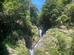 -石台牯牛降景区