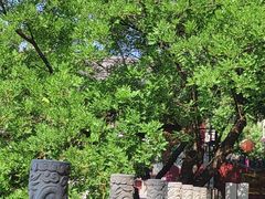 -千佛山风景名胜区