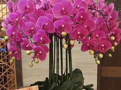 -上海小南国(国发店)