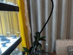 -浦江悦(陆家嘴保利广场店)