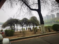 -丁香湖公园