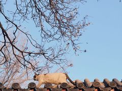 -北京石刻艺术博物馆(五塔寺)